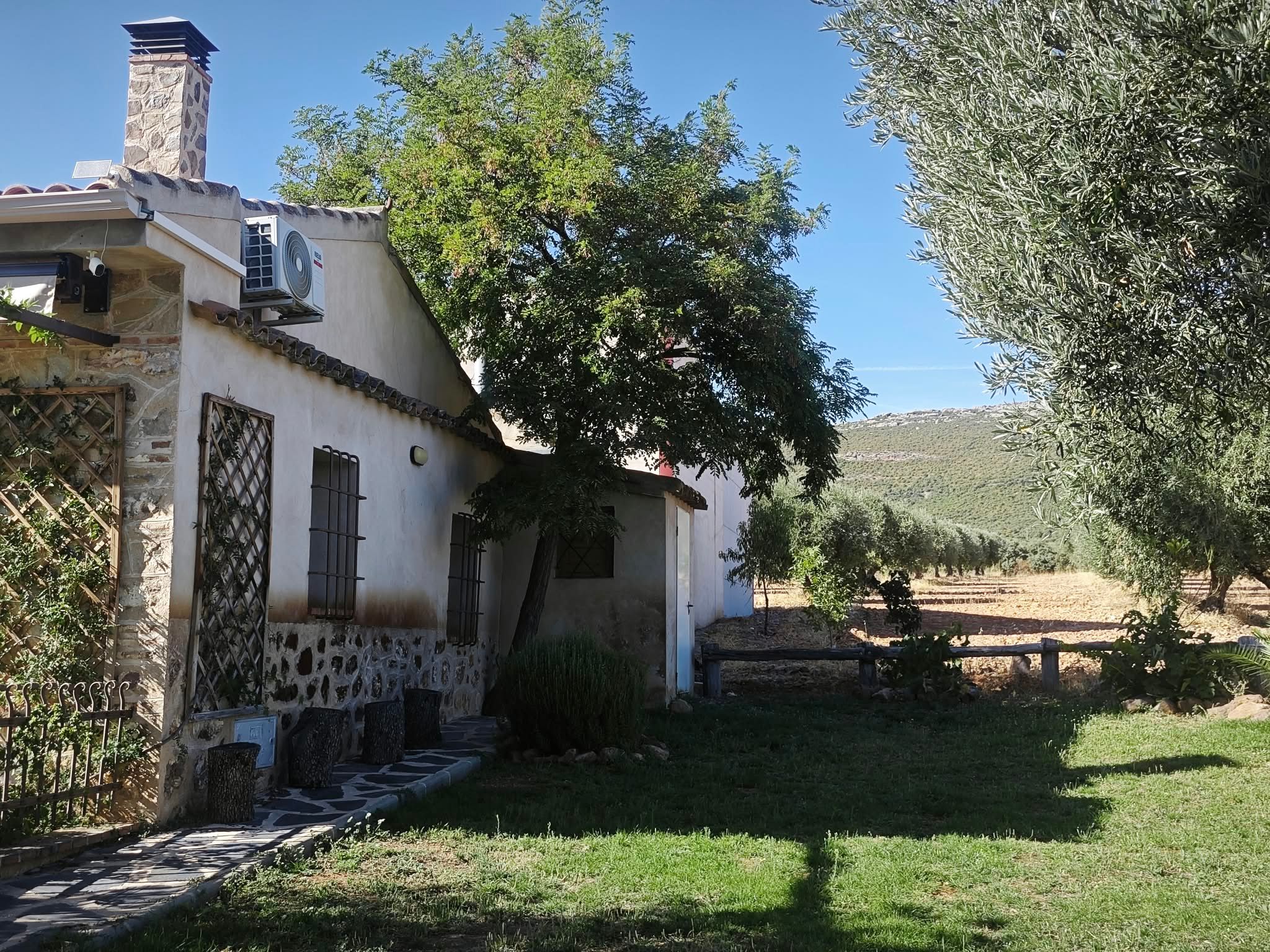 La casa junto al olivar, con los Montes de Toledo al fondo