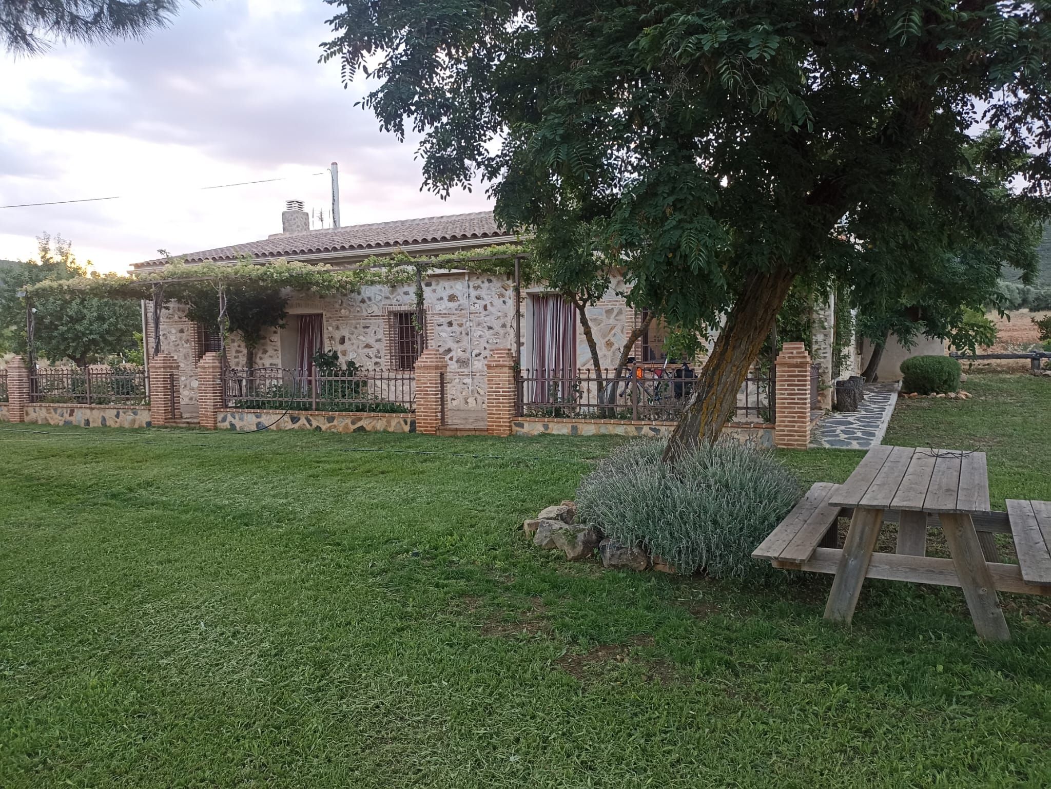 Jardín con mesa de picnic