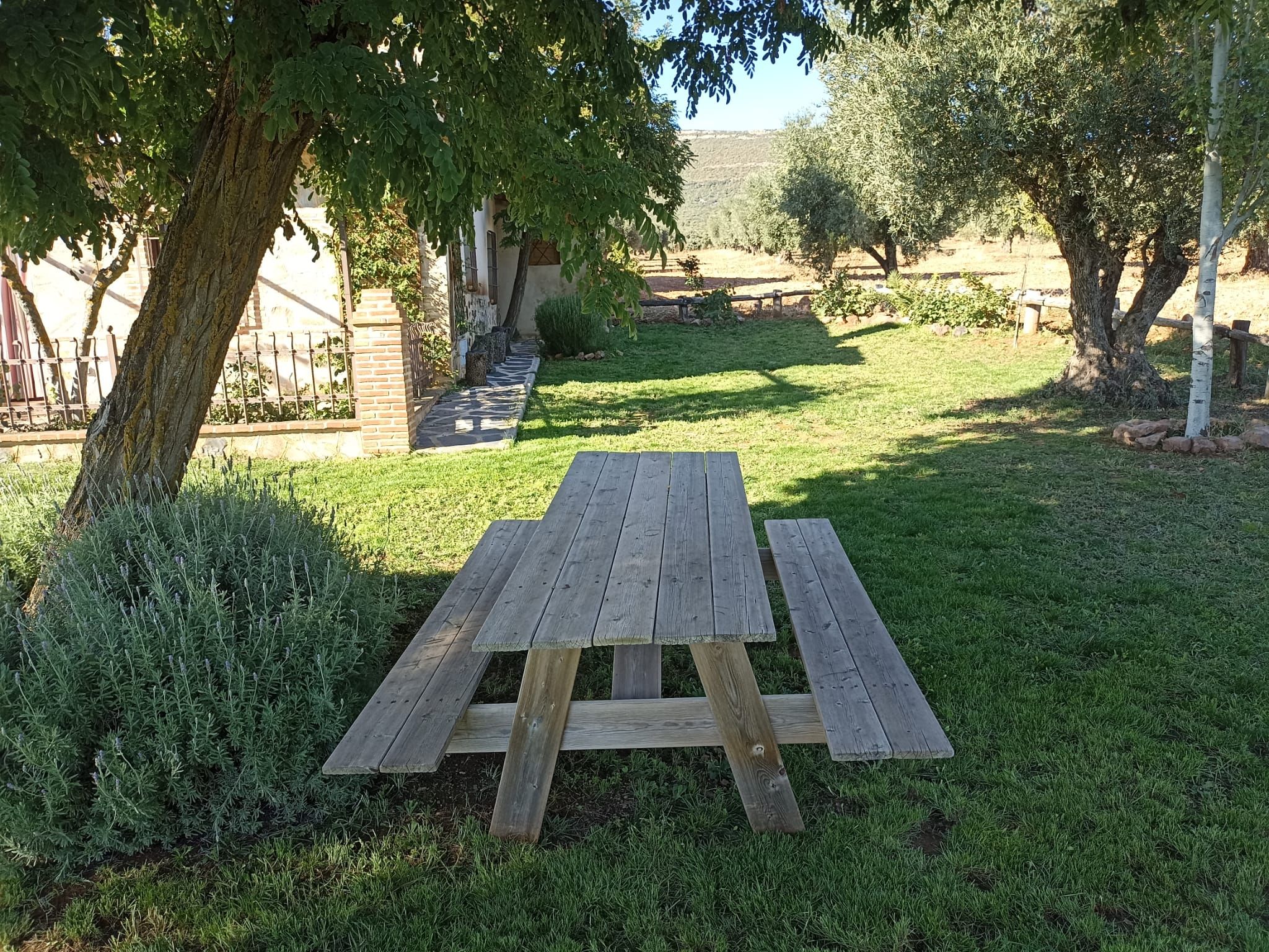 Jardín